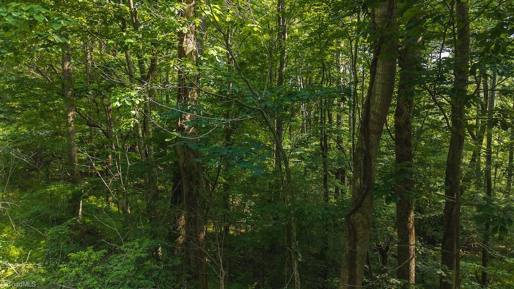 Tbd Brushy Mountain Road Moravian Falls, NC 28654 - Photo 19 of 26