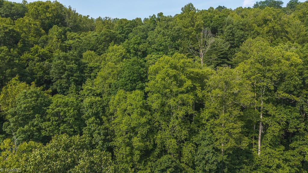 Tbd Brushy Mountain Road Moravian Falls, NC 28654 - Photo 20 of 26
