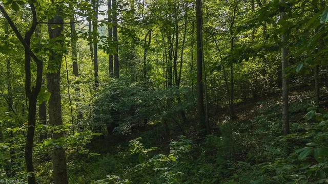 $164,900 | Tbd Brushy Mountain Road, Moravian Falls, NC 28654