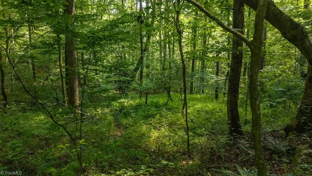 $164,900 | Tbd Brushy Mountain Road, Moravian Falls, NC 28654