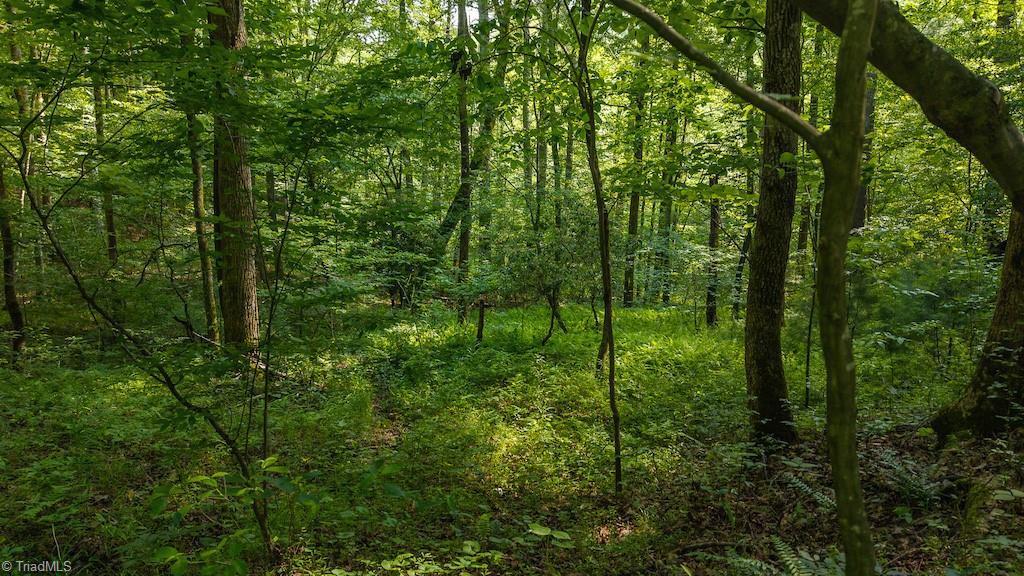 Tbd Brushy Mountain Road Moravian Falls, NC 28654 - Photo 22 of 26