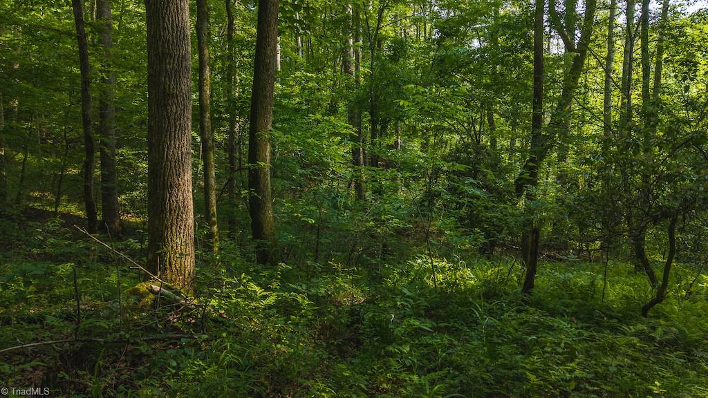 Tbd Brushy Mountain Road Moravian Falls, NC 28654 - Photo 23 of 26