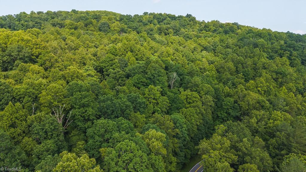 Tbd Brushy Mountain Road Moravian Falls, NC 28654 - Photo 24 of 26