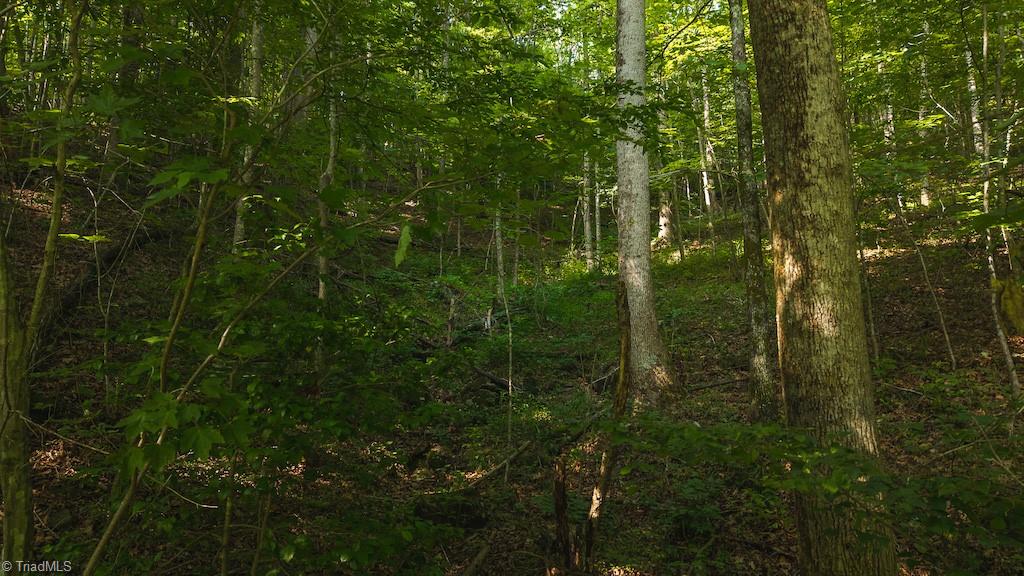 Tbd Brushy Mountain Road Moravian Falls, NC 28654 - Photo 26 of 26