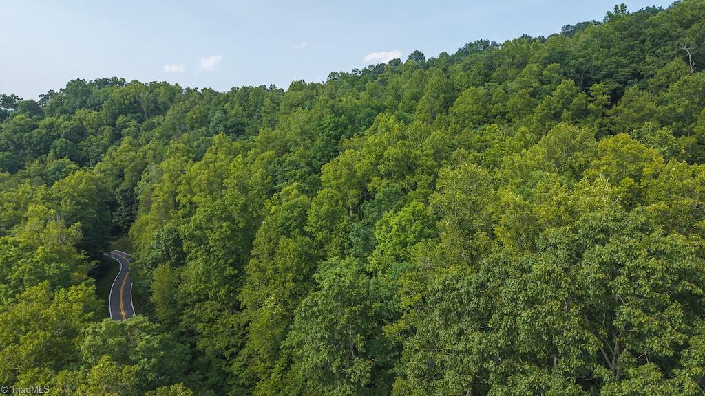 Tbd Brushy Mountain Road Moravian Falls, NC 28654 - Photo 3 of 26