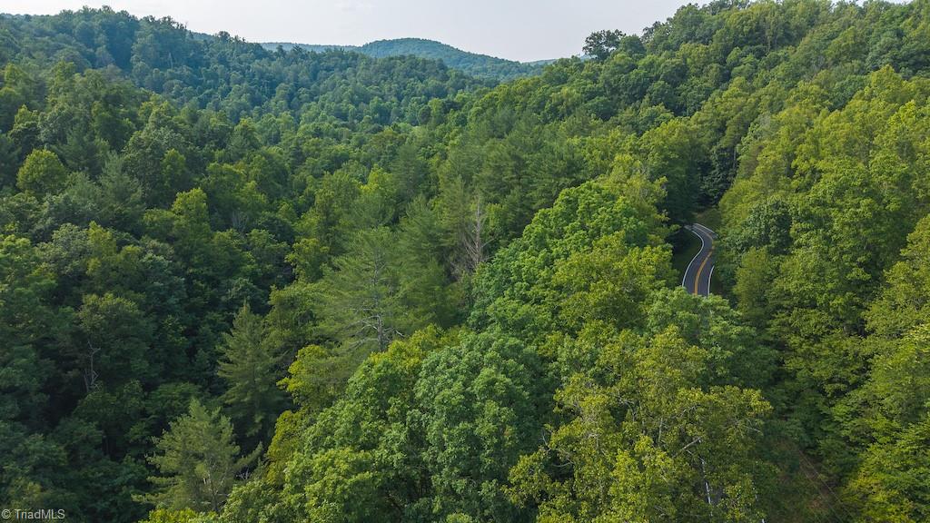 Tbd Brushy Mountain Road Moravian Falls, NC 28654 - Photo 4 of 26