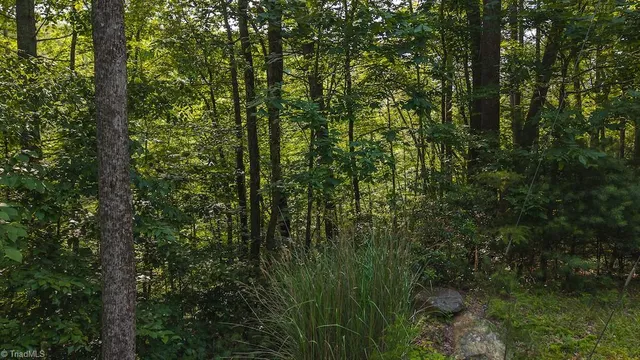 $164,900 | Tbd Brushy Mountain Road, Moravian Falls, NC 28654