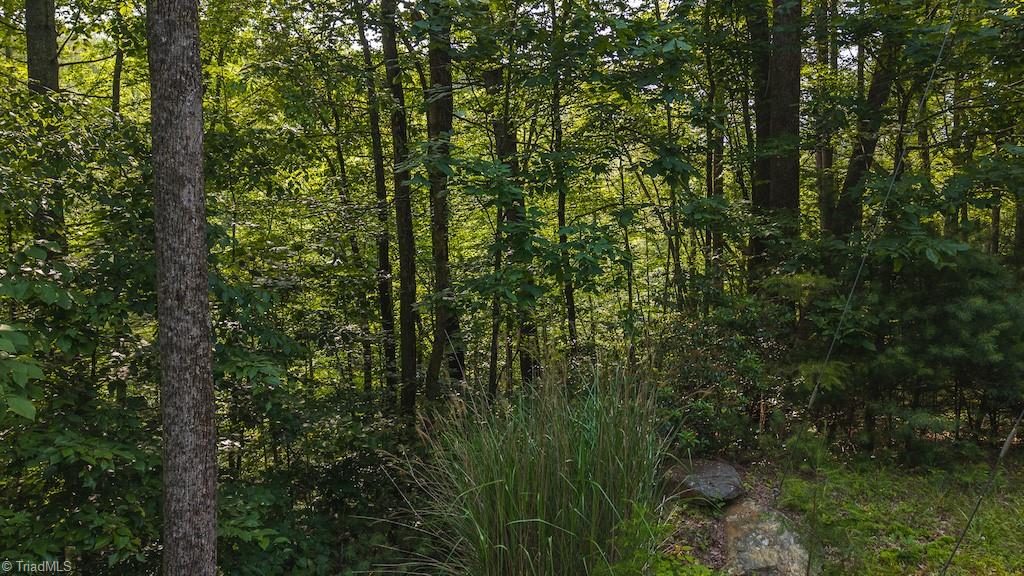 Tbd Brushy Mountain Road Moravian Falls, NC 28654 - Photo 8 of 26