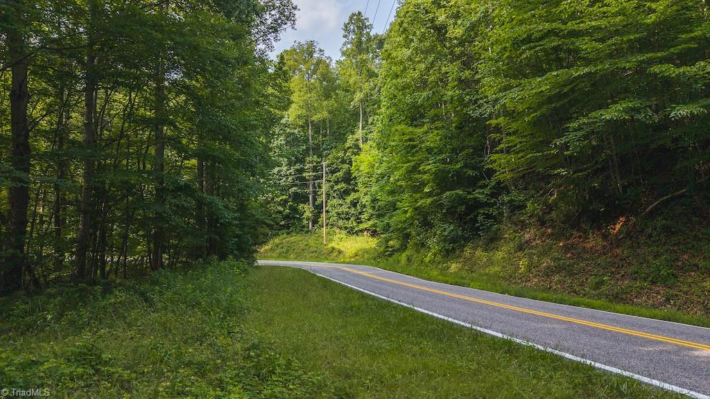 Tbd Brushy Mountain Road Moravian Falls, NC 28654 - Photo 9 of 26