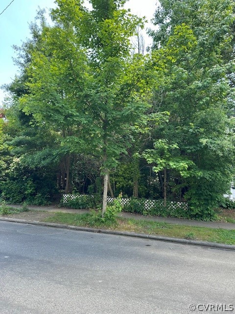 3423 Stuart Avenue Richmond, VA 23221 - Photo 2 of 9 a view of a yard