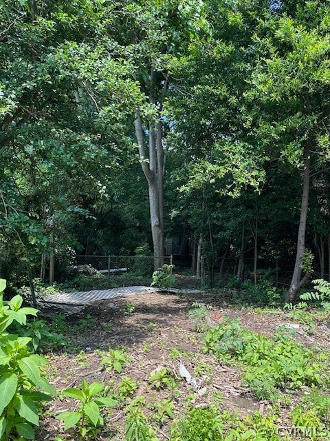 3423 Stuart Avenue Richmond, VA 23221 - Photo 3 of 9 a backyard of a house with lots of green space