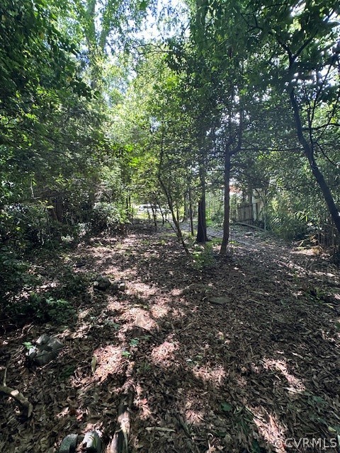 3423 Stuart Avenue Richmond, VA 23221 - Photo 9 of 9 a view of a forest that has large trees