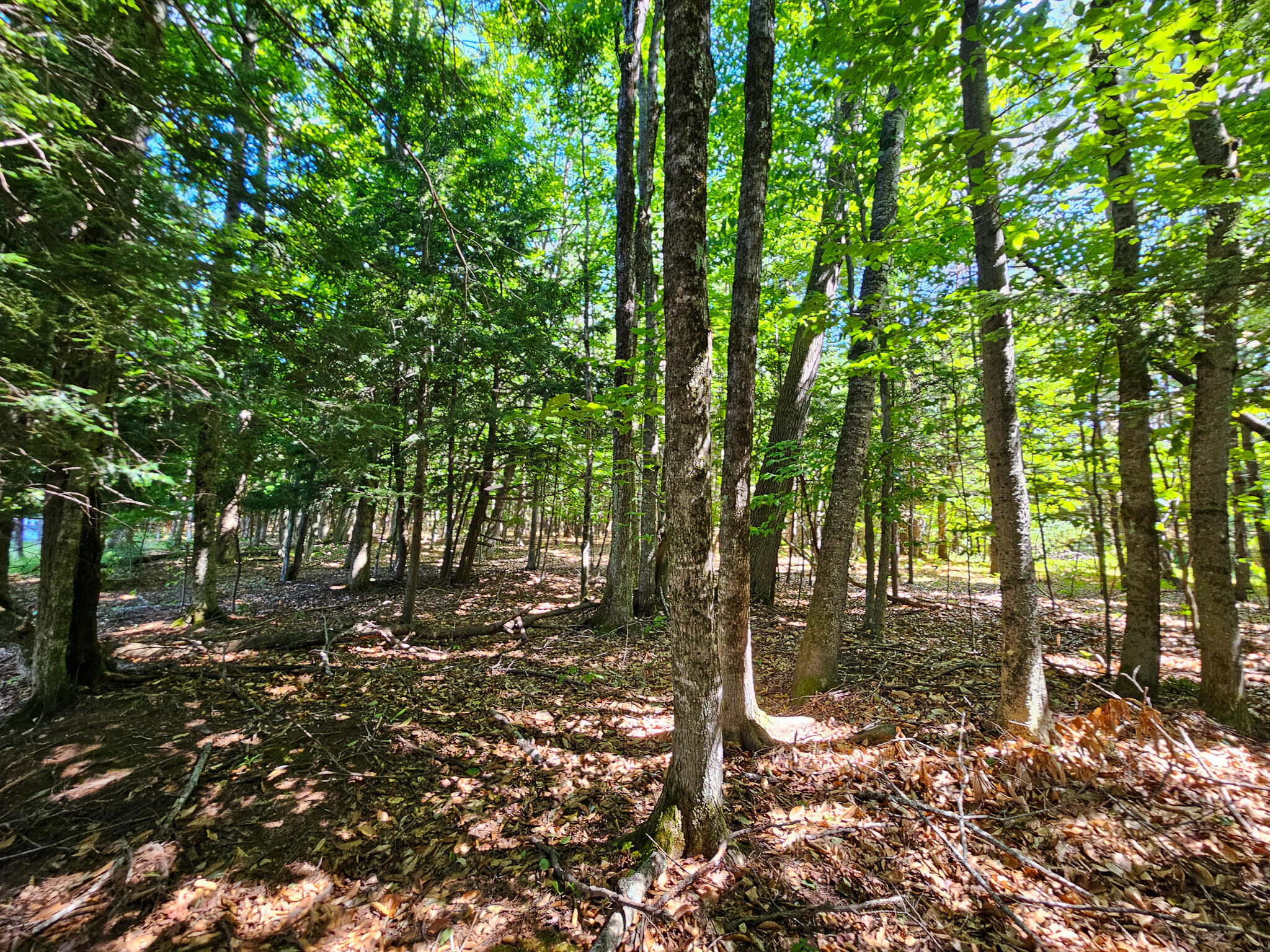 11-31-c Stone Hill Road Farmington, ME 04938 - Photo 8 of 22