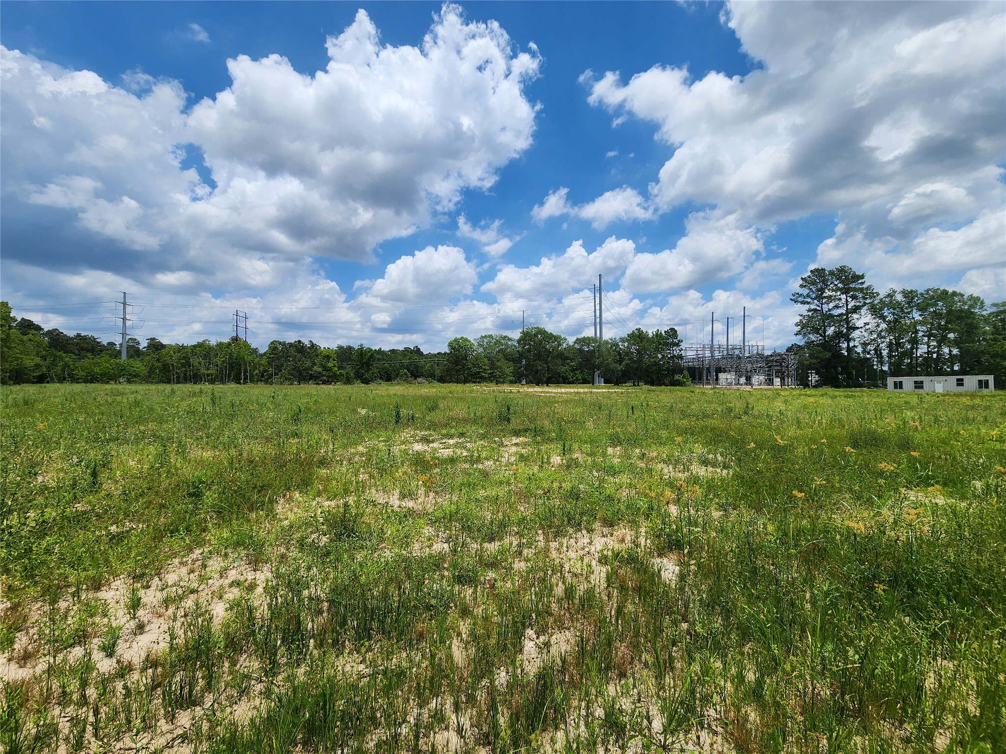 15029 Calhoun Road Conroe, TX 77302 - Photo 3 of 31