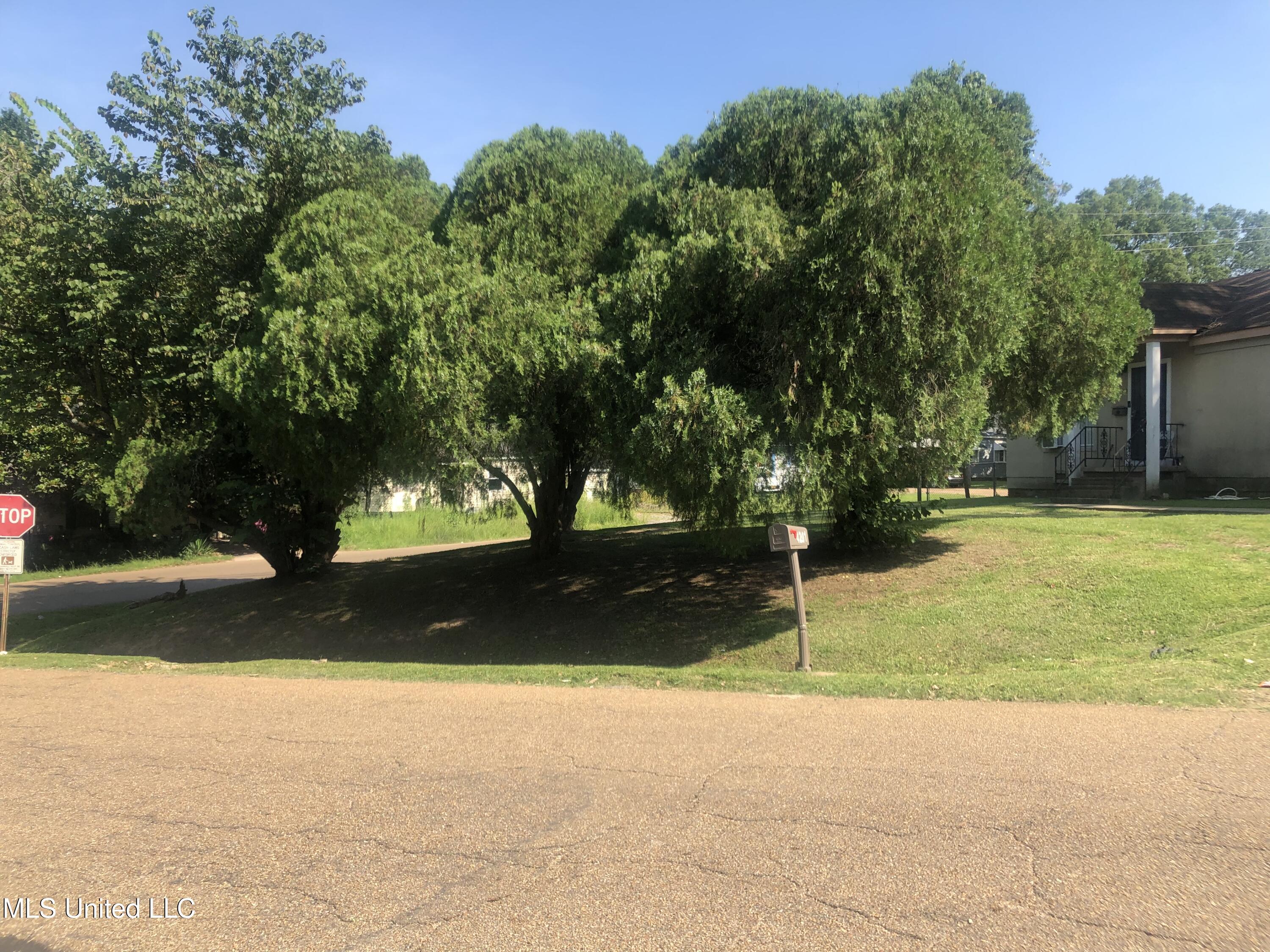 4201 Larchmont Street Jackson, MS 39209 - Photo 4 of 15 IMG_6951