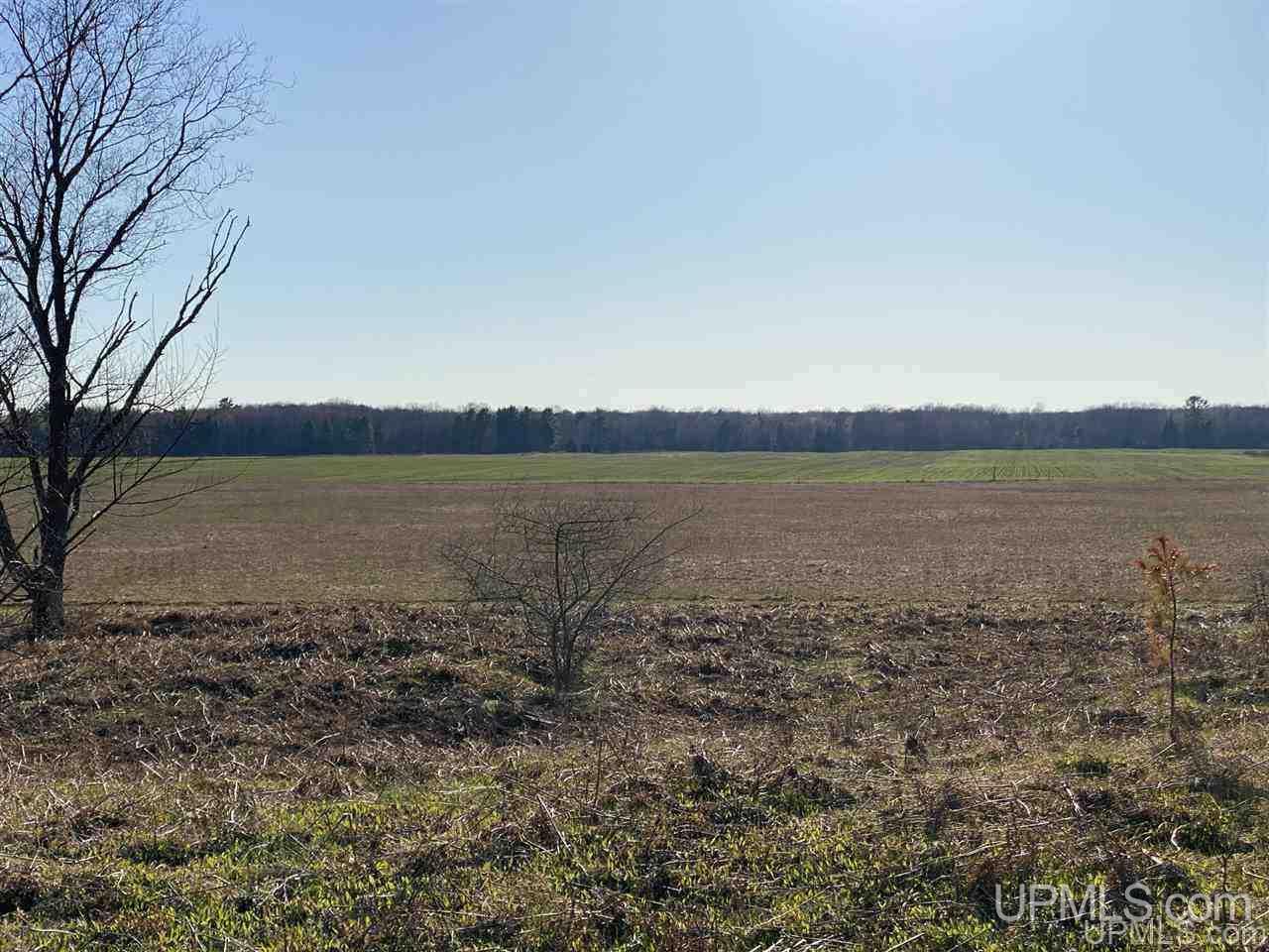 Tbd Advent Road Cooks, MI 49817 - Photo 7 of 27