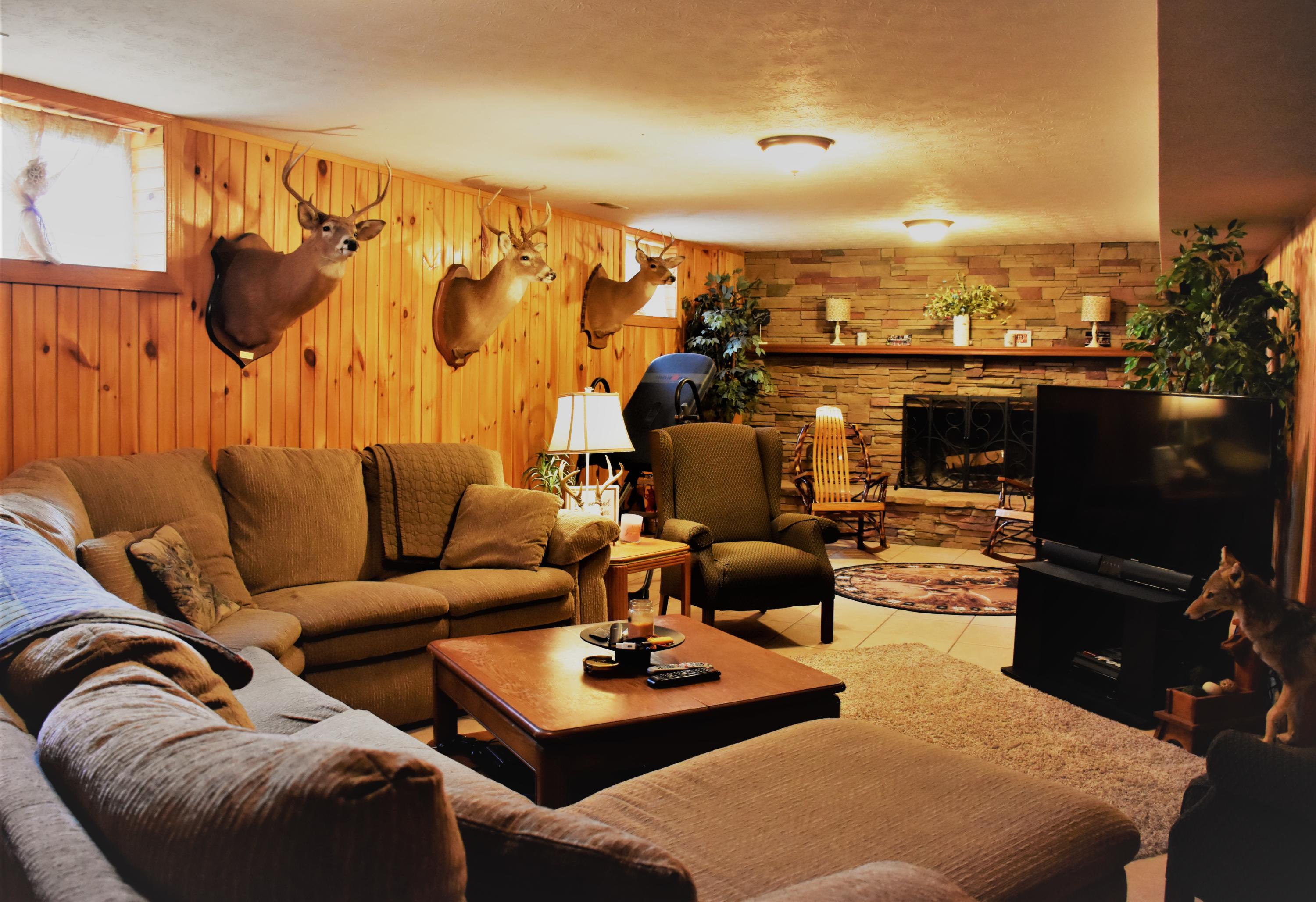 429 Disco Loop Road Friendsville, TN 37737 - Photo 20 of 36 Finished Basement 3