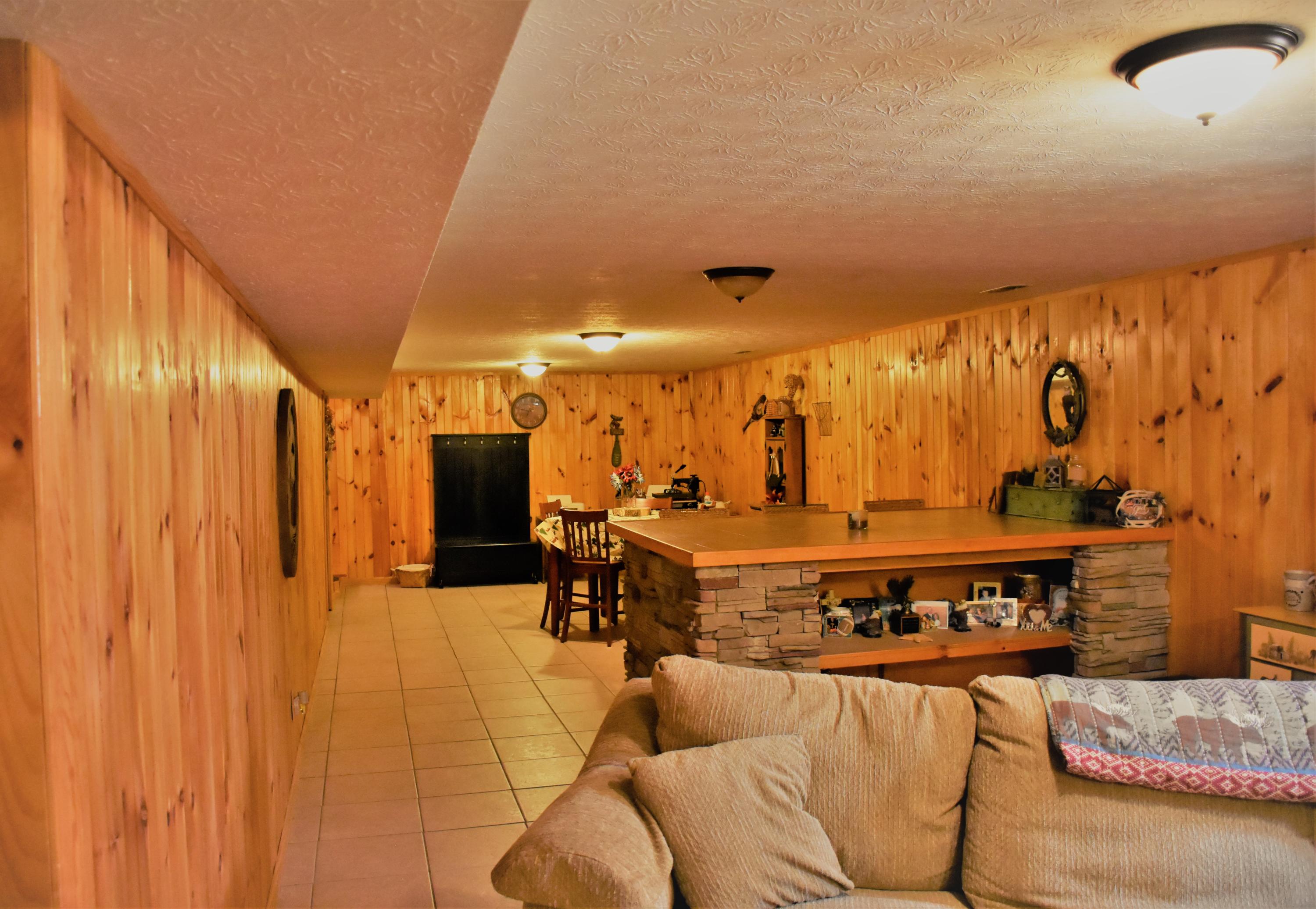 429 Disco Loop Road Friendsville, TN 37737 - Photo 21 of 36 Finished Basement 4