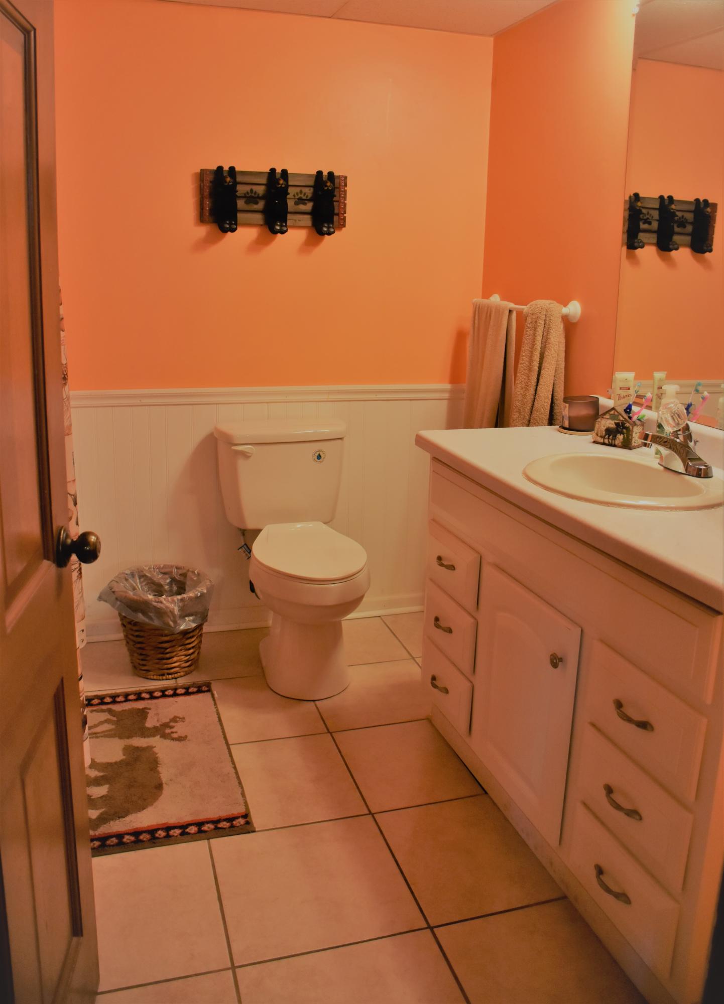 429 Disco Loop Road Friendsville, TN 37737 - Photo 24 of 36 Basement Bathroom