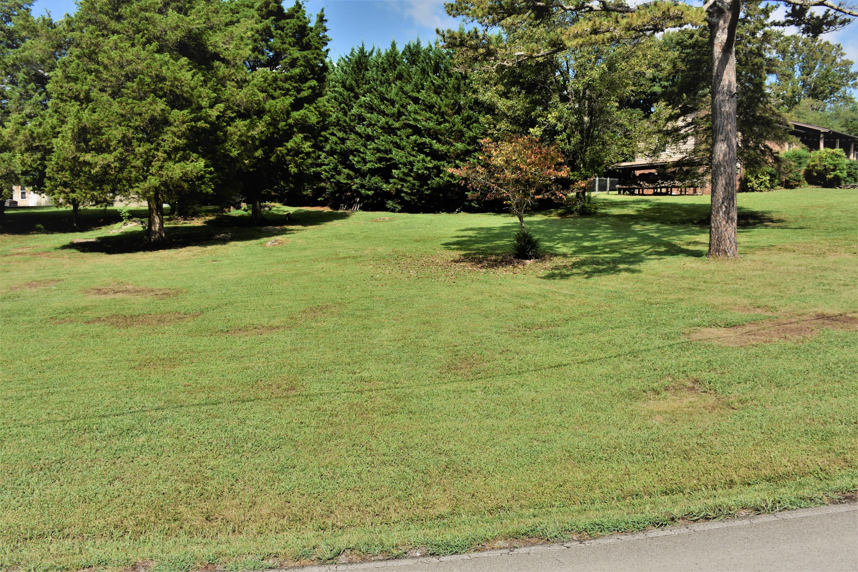429 Disco Loop Road Friendsville, TN 37737 - Photo 31 of 36 Side Yard