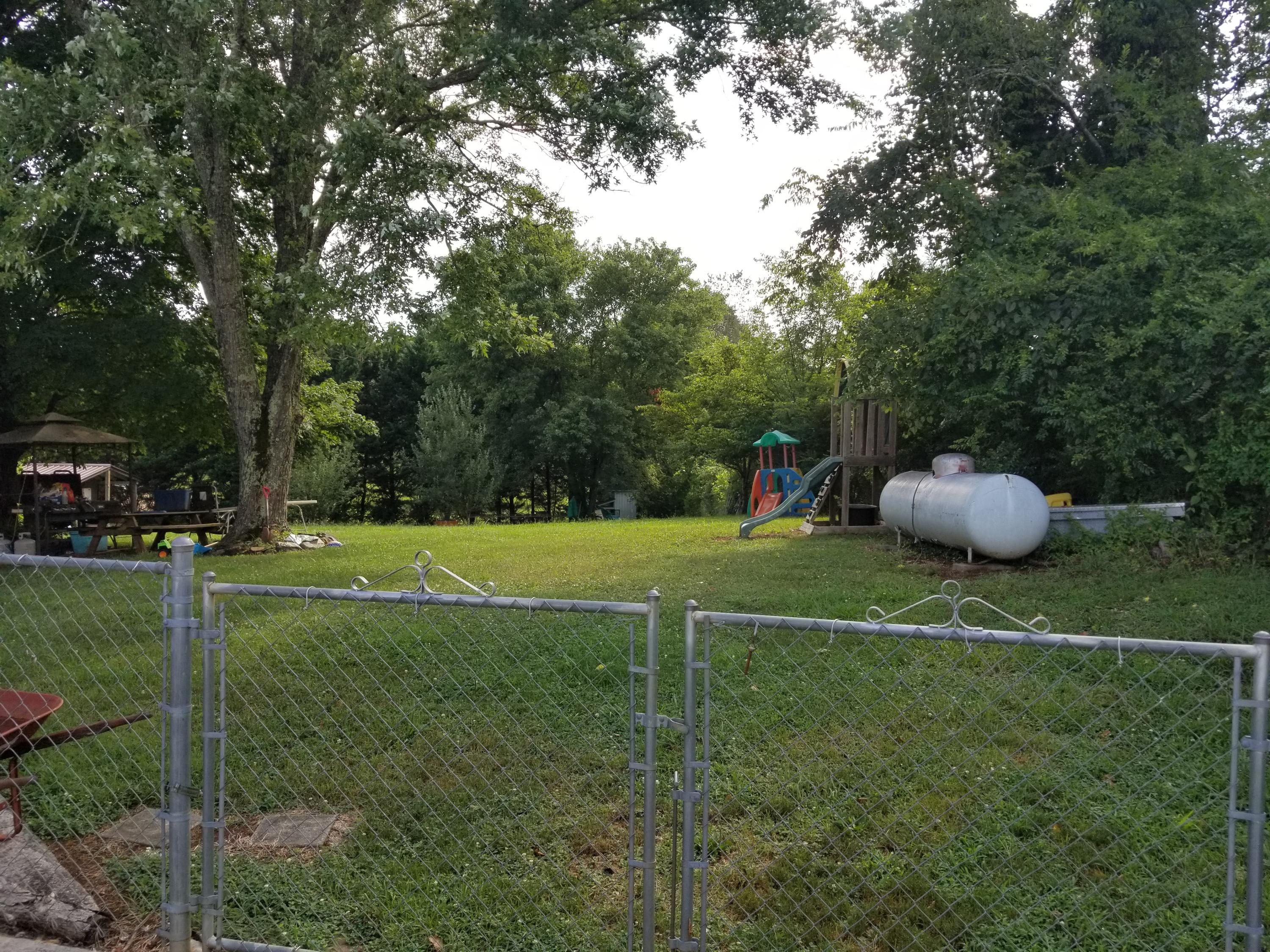back yard 2