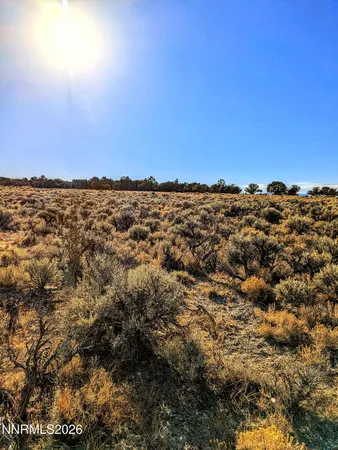 $51,000 | 0 Twelvemile Cyn Road, Montello, NV 89830