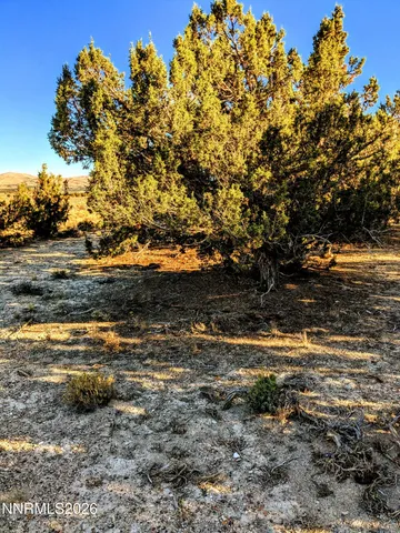$51,000 | 0 Twelvemile Cyn Road, Montello, NV 89830