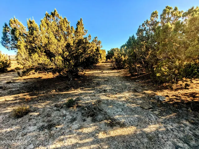 $51,000 | 0 Twelvemile Cyn Road, Montello, NV 89830