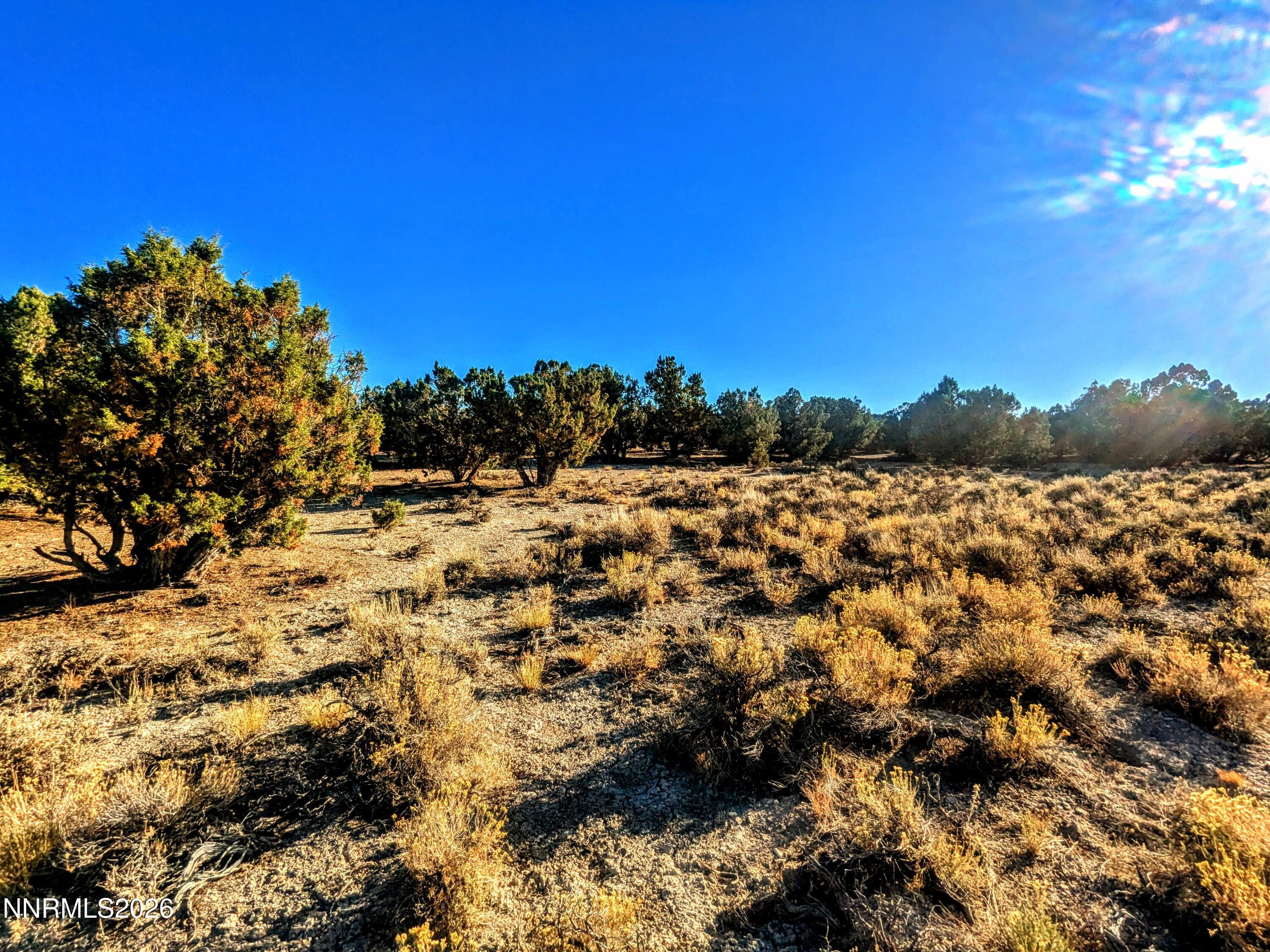 0 Twelvemile Cyn Road Montello, NV 89830 - Photo 4 of 18 4) 67206-697a3b1c21610