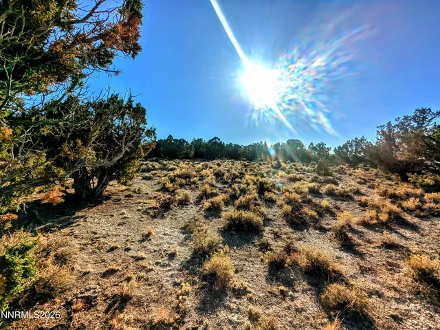 $51,000 | 0 Twelvemile Cyn Road, Montello, NV 89830