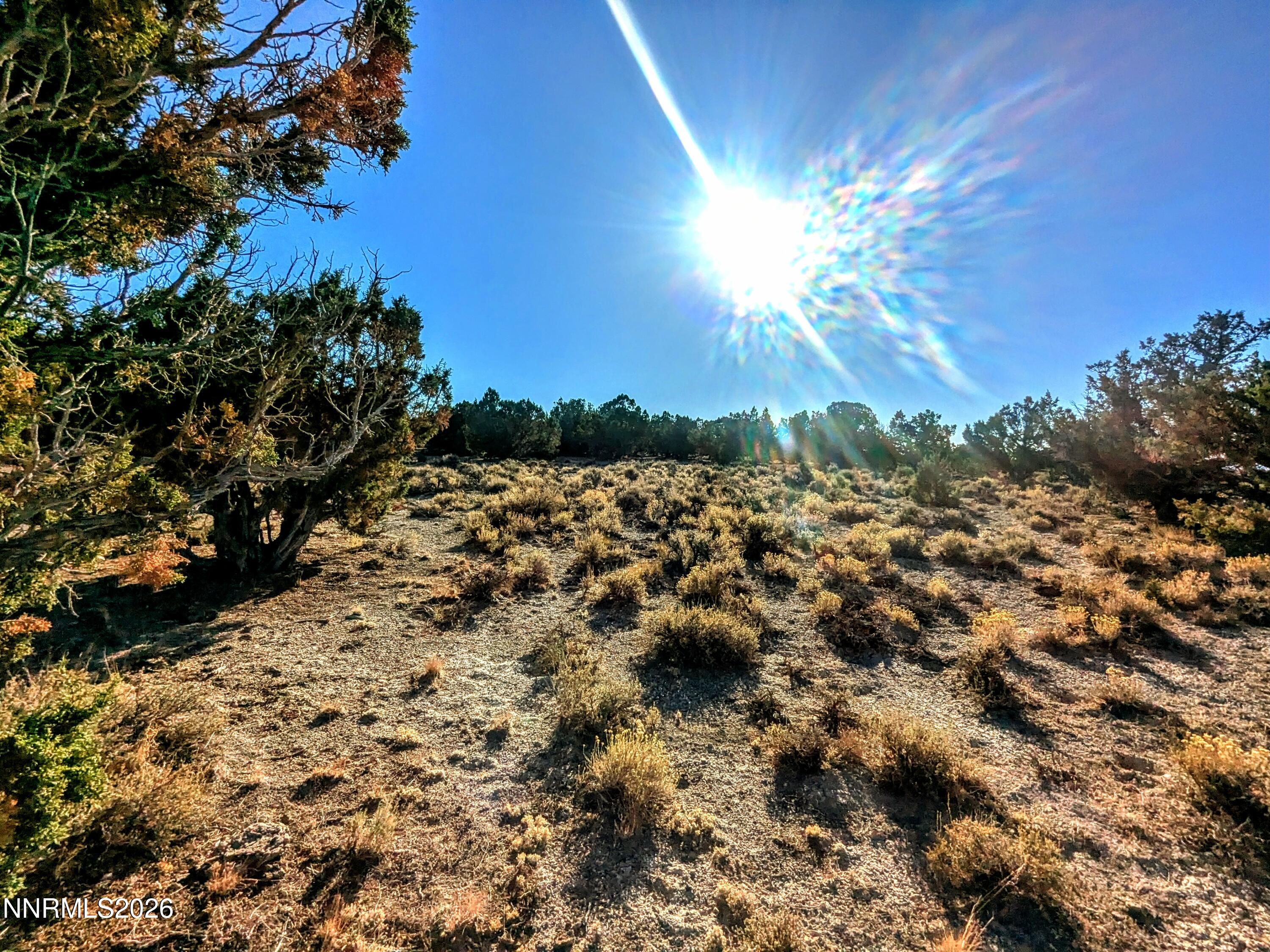 0 Twelvemile Cyn Road Montello, NV 89830 - Photo 6 of 18 6) 67206-697a3b0fc1161