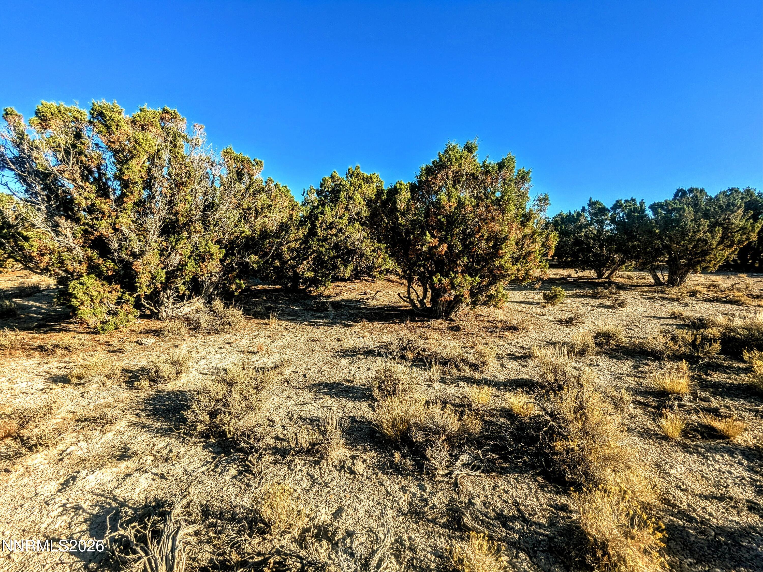 0 Twelvemile Cyn Road Montello, NV 89830 - Photo 7 of 18 7) 67206-697a3b1e19165