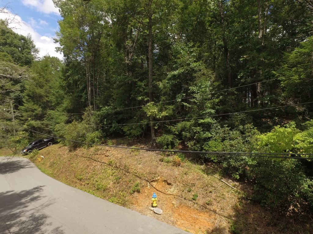 0 Bruce Road Gatlinburg, TN 37738 - Photo 2 of 11