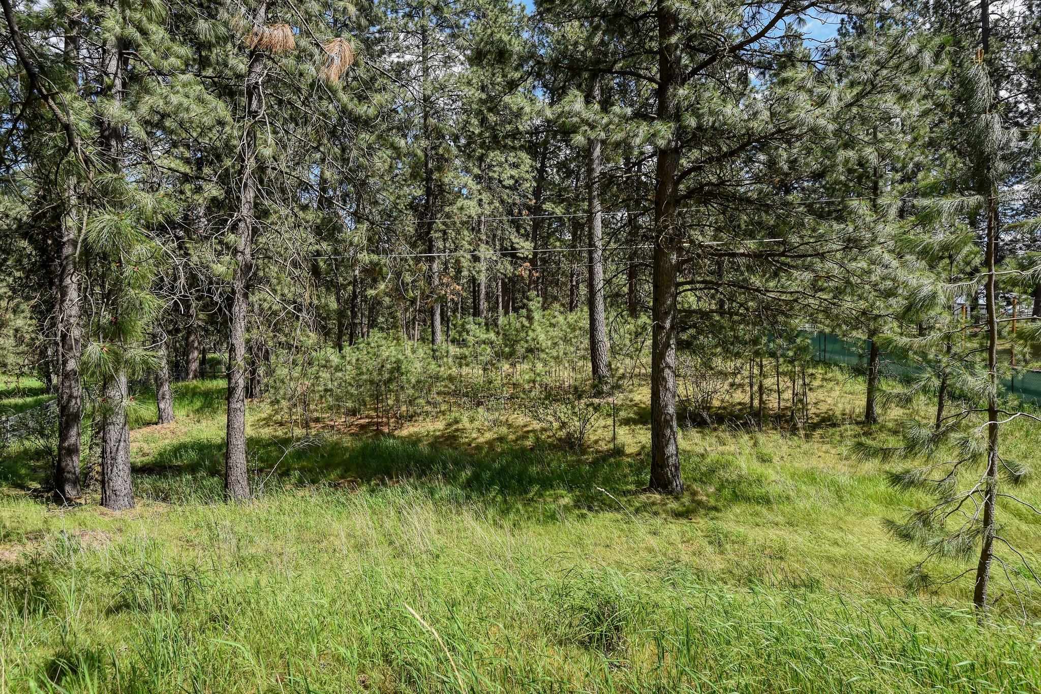 4605 South Woodruff Road Spokane Valley, WA 99206 - Photo 43 of 49 Gallery Image 43