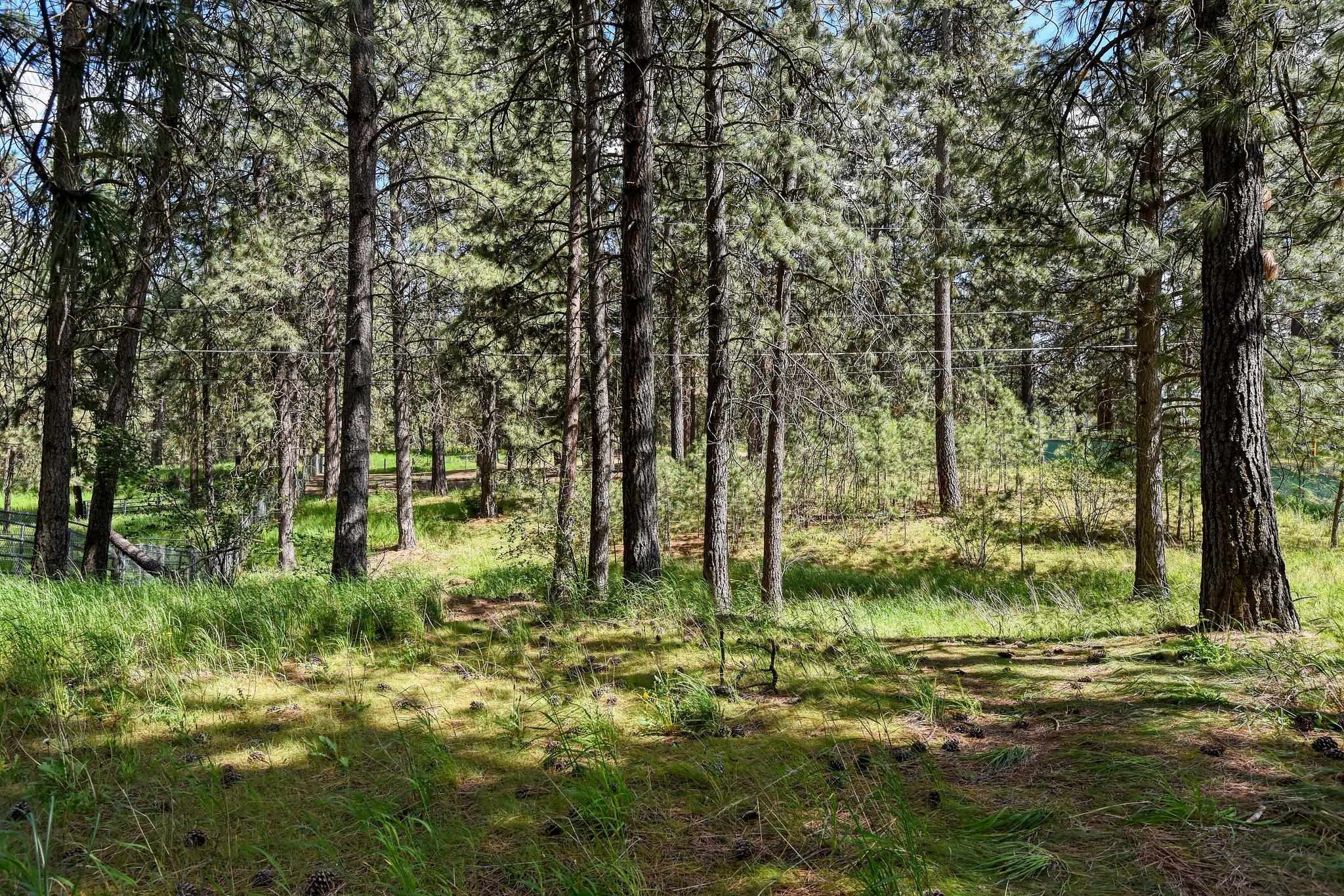 4605 South Woodruff Road Spokane Valley, WA 99206 - Photo 45 of 49 Gallery Image 45