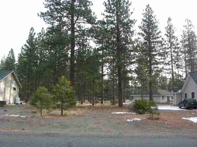 Lot 97 Muskrat Road Weed, CA 96094 - Photo 2 of 2 Gallery Image 2