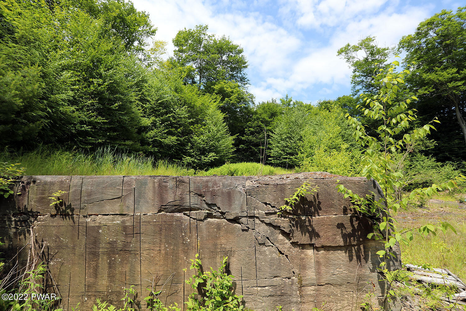 0 Minckler Mountain Road Damascus, PA 18415 - Photo 28 of 43