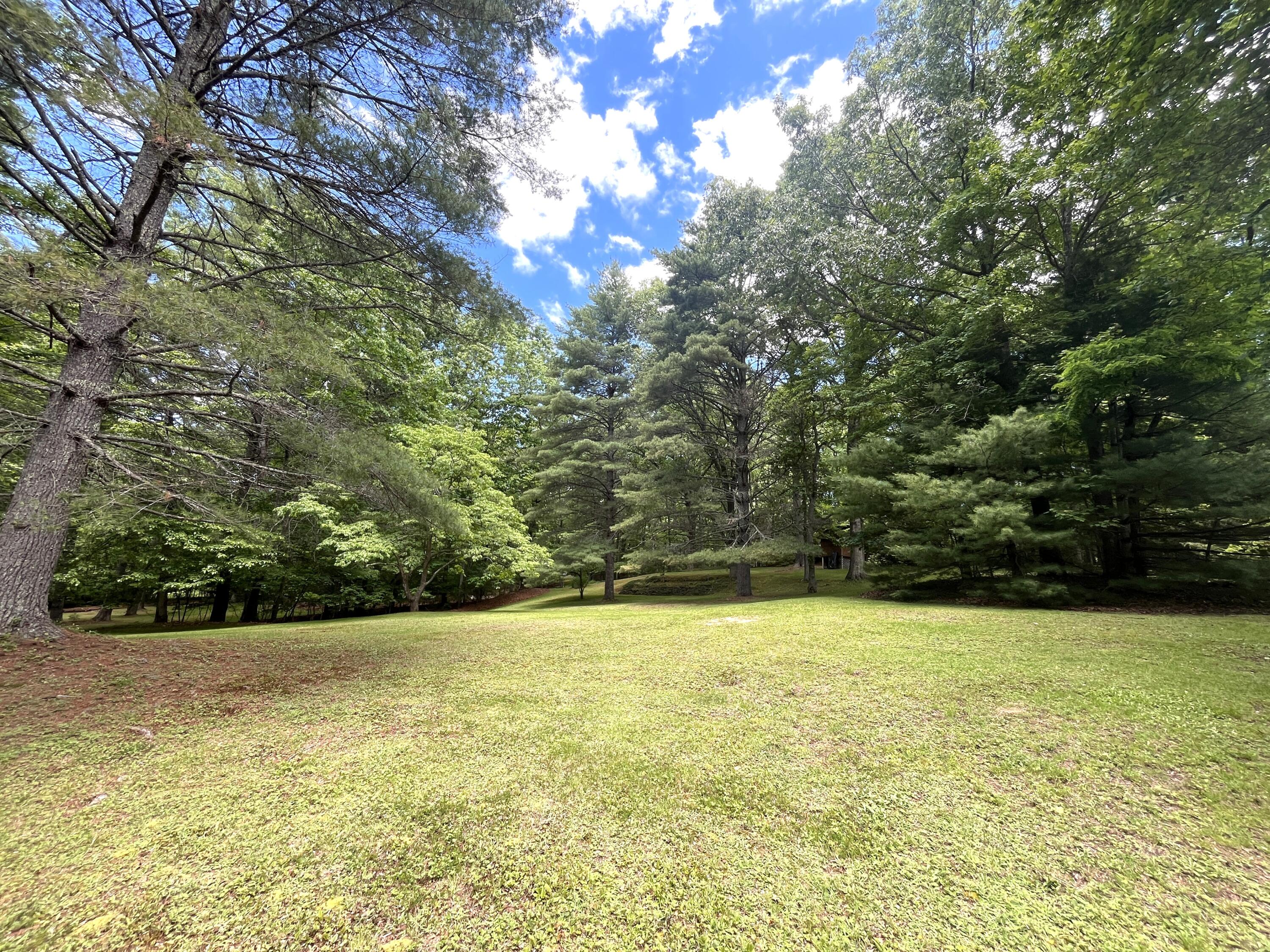 2092 Coleman Cliff Road Frankford, WV 24938 - Photo 36 of 52 Gallery Image 36