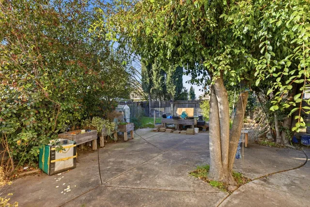 a view of a outdoor space with a tree