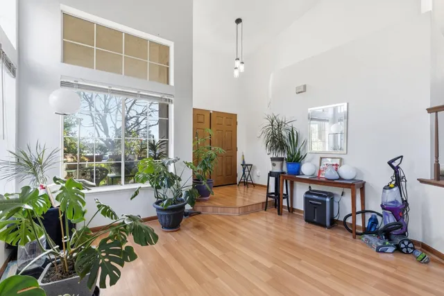 a living room with furniture and a potted plant
