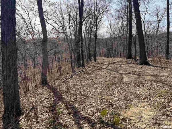 $612,000 | 0 East State Route 95, Marietta, IL 61459