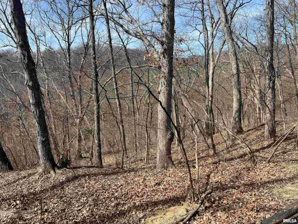 $612,000 | 0 East State Route 95, Marietta, IL 61459