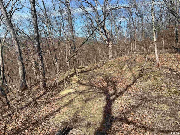 $612,000 | 0 East State Route 95, Marietta, IL 61459