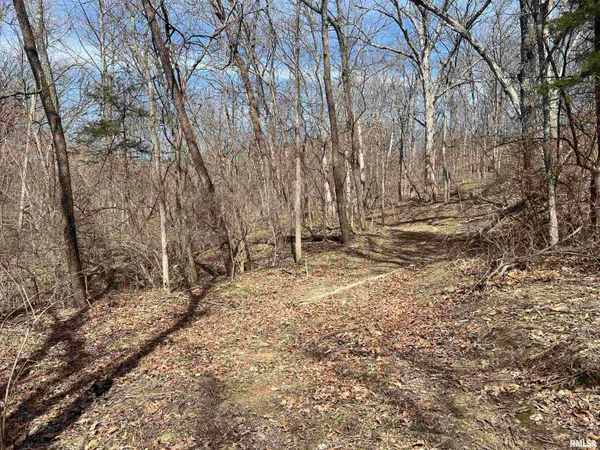 $612,000 | 0 East State Route 95, Marietta, IL 61459