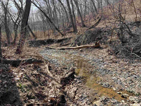 $612,000 | 0 East State Route 95, Marietta, IL 61459