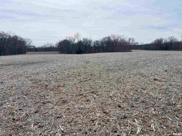 $612,000 | 0 East State Route 95, Marietta, IL 61459