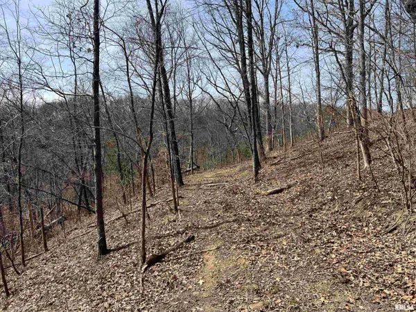 $612,000 | 0 East State Route 95, Marietta, IL 61459