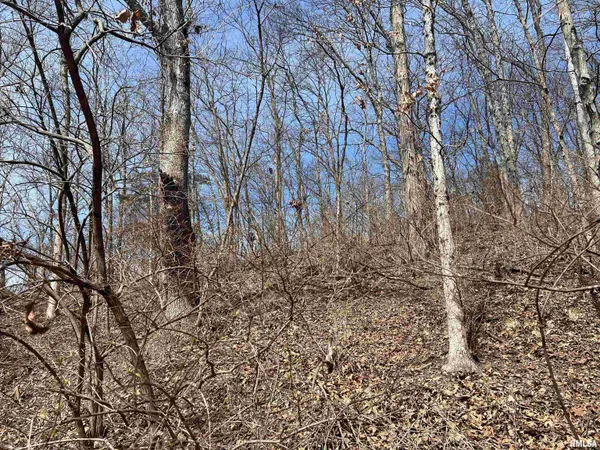$612,000 | 0 East State Route 95, Marietta, IL 61459