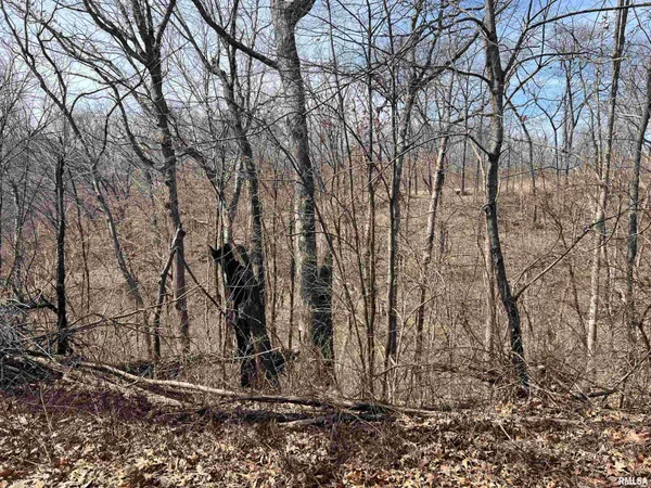 $612,000 | 0 East State Route 95, Marietta, IL 61459