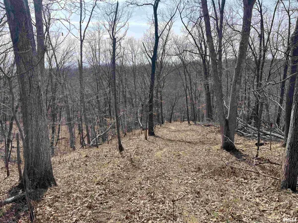 $612,000 | 0 East State Route 95, Marietta, IL 61459